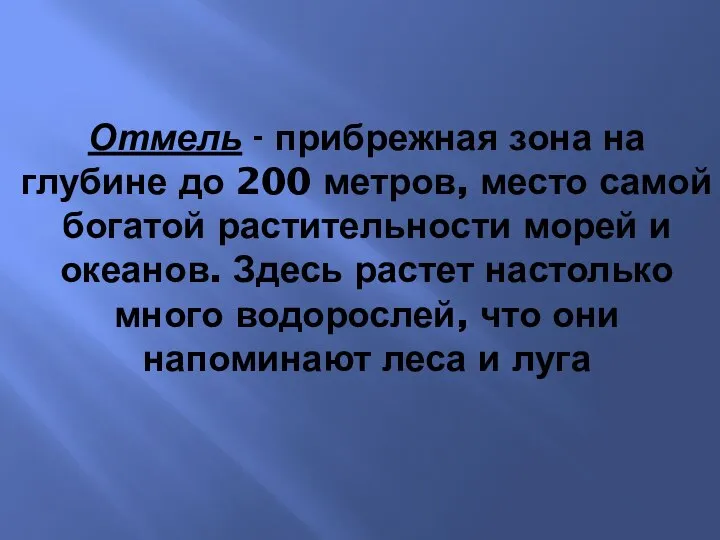 Отмель - прибрежная зона на глубине до 200 метров, место самой богатой