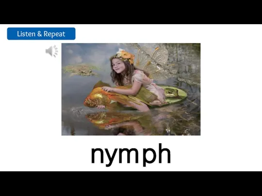 nymph