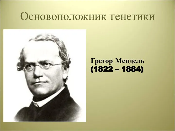 Основоположник генетики Грегор Мендель (1822 – 1884)