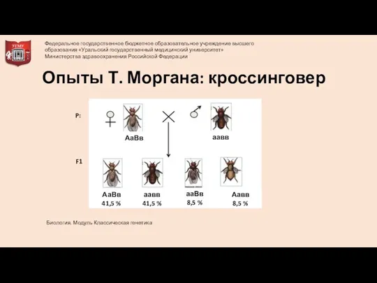 Опыты Т. Моргана: кроссинговер