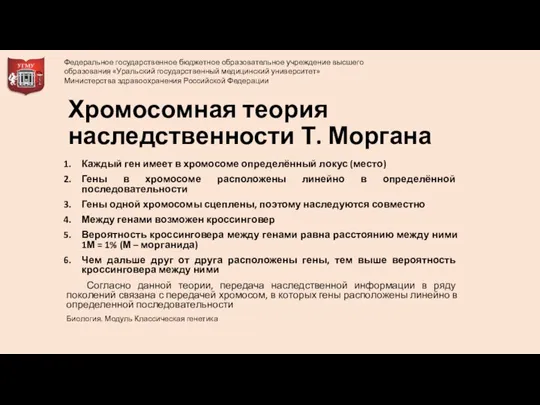 Хромосомная теория наследственности Т. Моргана Каждый ген имеет в хромосоме определённый локус