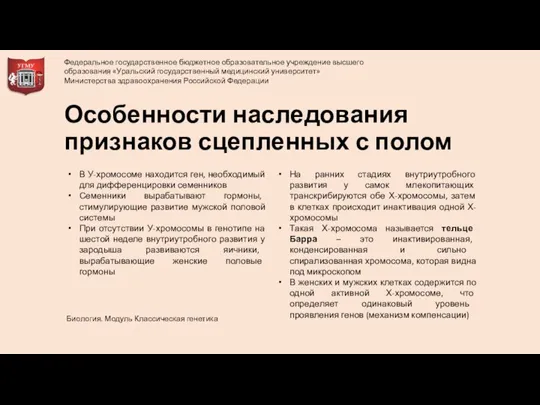 Особенности наследования признаков сцепленных с полом В У-хромосоме находится ген, необходимый для