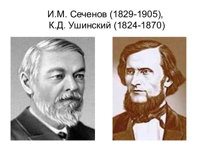 И.М. Сеченов (1829-1905), К.Д. Ушинский (1824-1870)