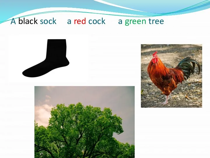 A black sock a red cock a green tree