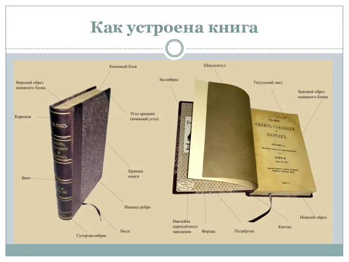 Как устроена книга