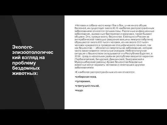 Эколого-эпизоотологический взгляд на проблему бездомных животных: Человек и собака часто живут бок