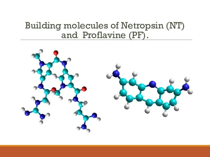 Building molecules of Netropsin (NT) and Proflavine (PF).