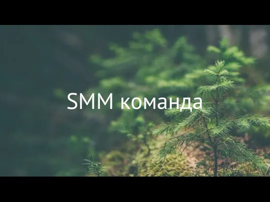 SMM команда