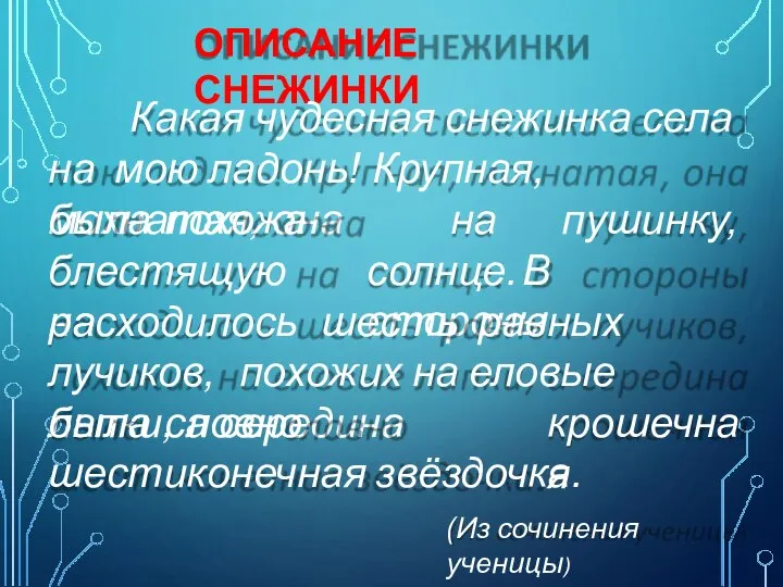 ОПИСАНИЕ СНЕЖИНКИ Какая чудесная снежинка села на мою ладонь! Крупная, мохнатая, она