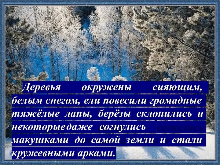 Деревья окружены сияющим, белым снегом, ели повесили громадные тяжёлые лапы, берёзы склонились