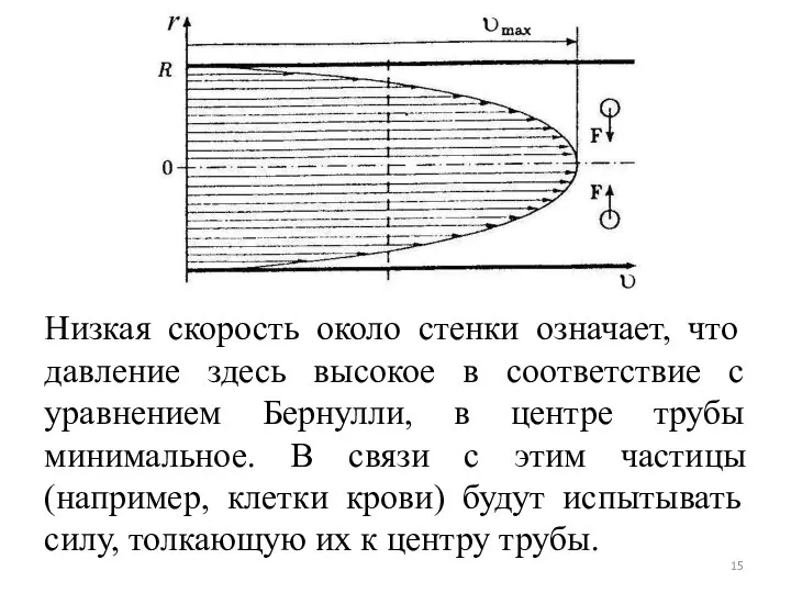 Низкая скорость около стенки означает, что давление здесь высокое в соответствие с