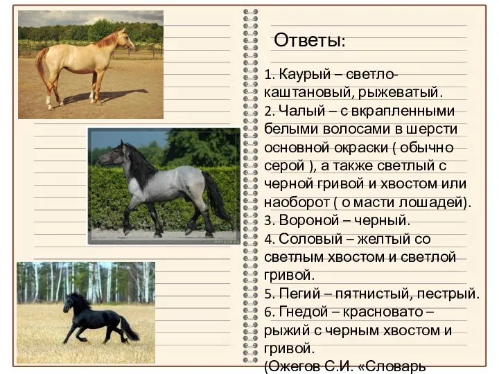 Ответы: 1. Каурый – светло-каштановый, рыжеватый. 2. Чалый – с вкрапленными белыми