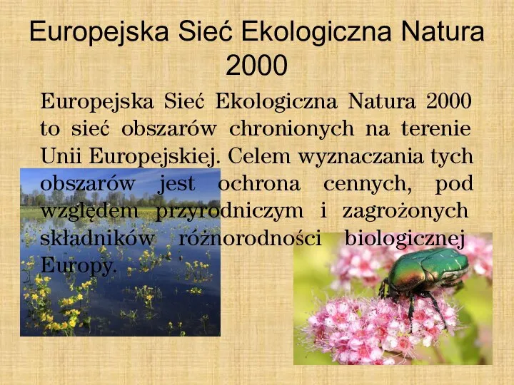 Europejska Sieć Ekologiczna Natura 2000 Europejska Sieć Ekologiczna Natura 2000 to sieć