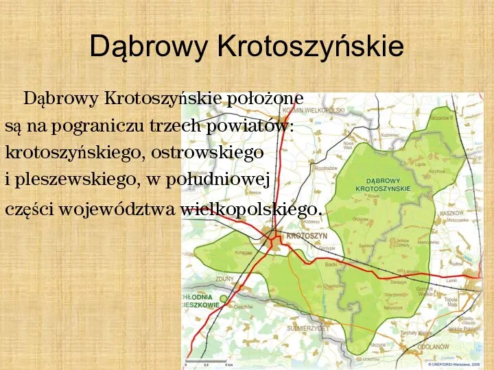 Dąbrowy Krotoszyńskie Dąbrowy Krotoszyńskie położone są na pograniczu trzech powiatów: krotoszyńskiego, ostrowskiego