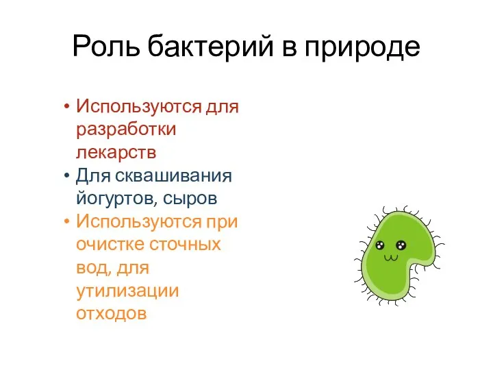 Роль бактерий в природе Используются для разработки лекарств Для сквашивания йогуртов, сыров