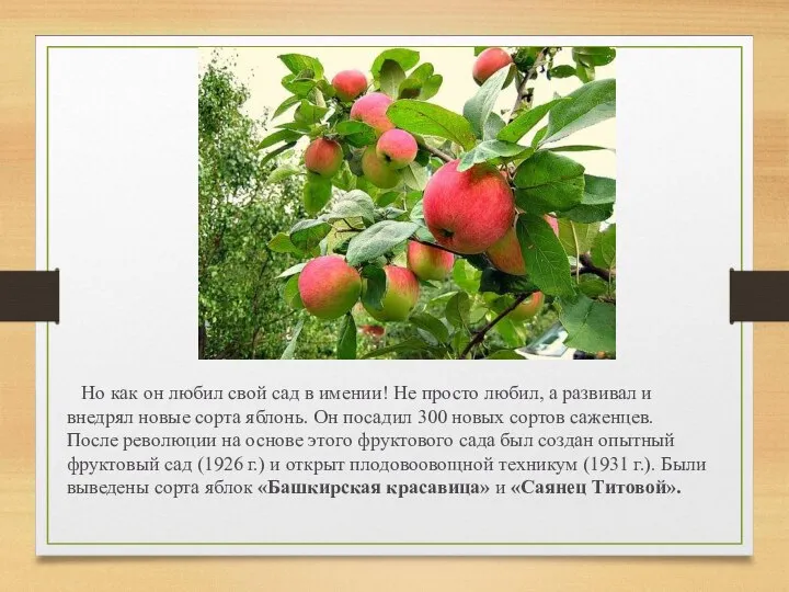 Но как он любил свой сад в имении! Не просто любил, а