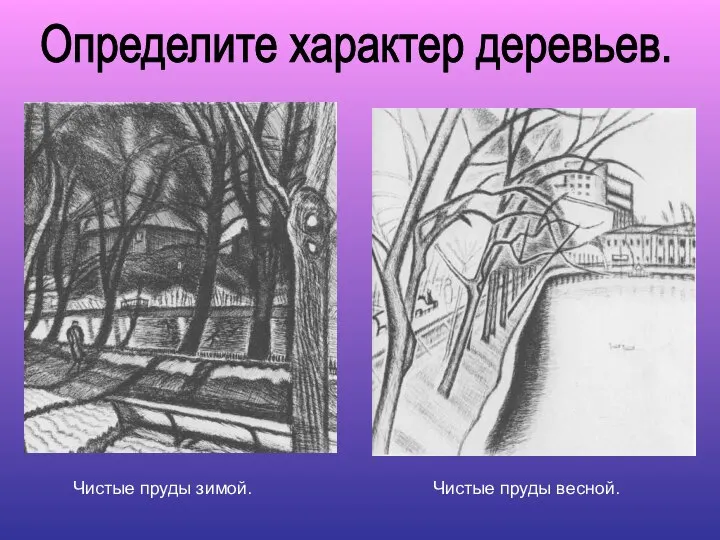 Определите характер деревьев. Чистые пруды зимой. Чистые пруды весной.