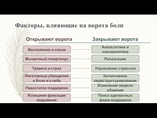 Факторы, влияющие на ворота боли Открывают ворота Закрывают ворота Анальгетики и спазмолитики