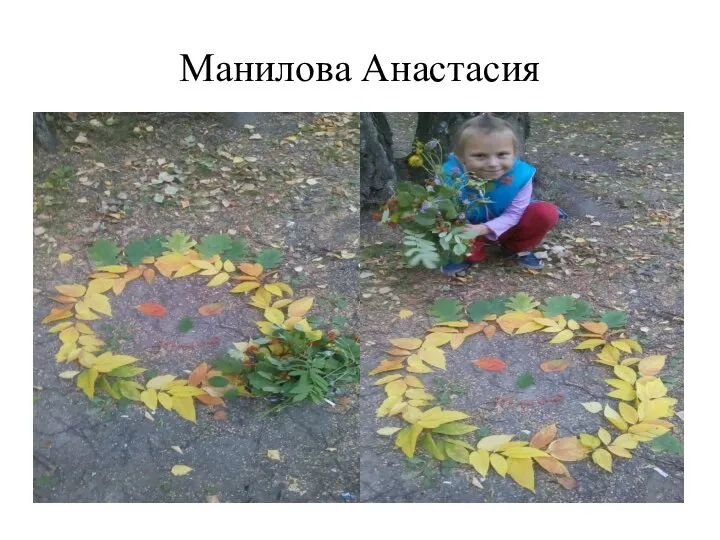 Манилова Анастасия