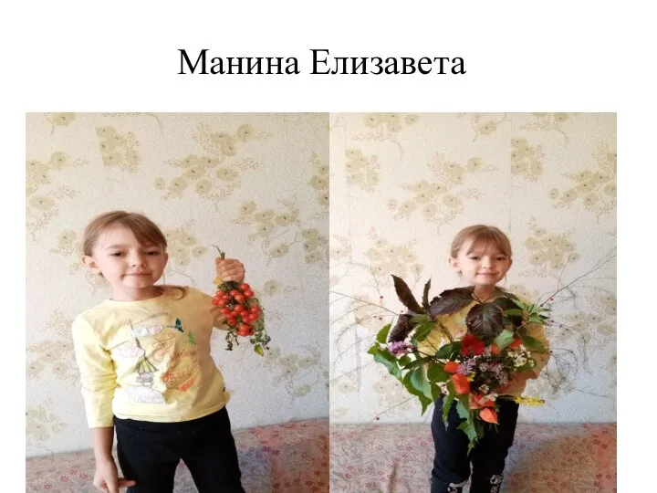 Манина Елизавета