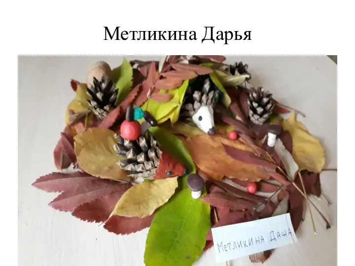 Метликина Дарья