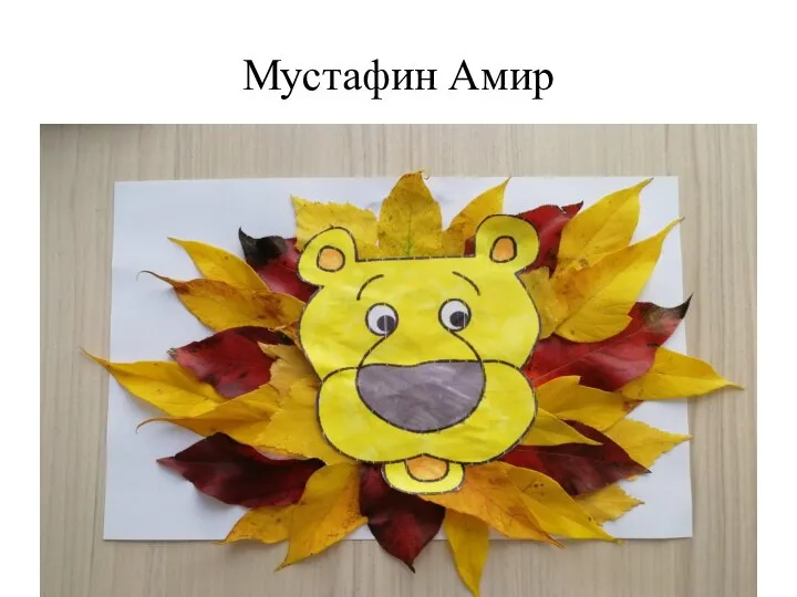 Мустафин Амир