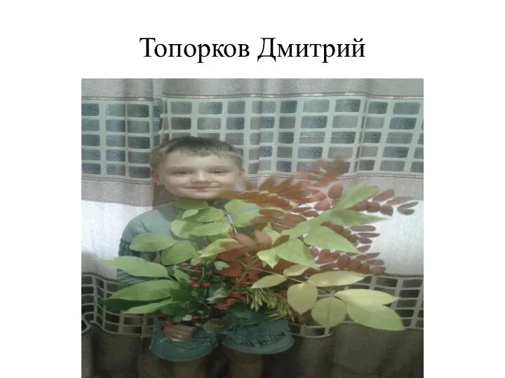 Топорков Дмитрий