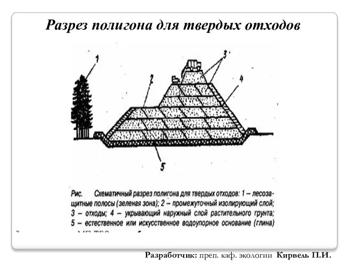 Разрез полигона для твердых отходов Разработчик: преп. каф. экологии Кирвель П.И.