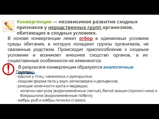 Конвергенция — независимое развитие сходных признаков у неродственных групп организмов, обитающих в