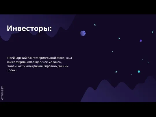 Инвесторы: Швейцарский благотворительный фонд «», а также фирма «Швейцарское молоко», готовы частично проспонсировать данный проект.