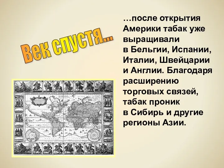 Век спустя... …после открытия Америки табак уже выращивали в Бельгии, Испании, Италии,