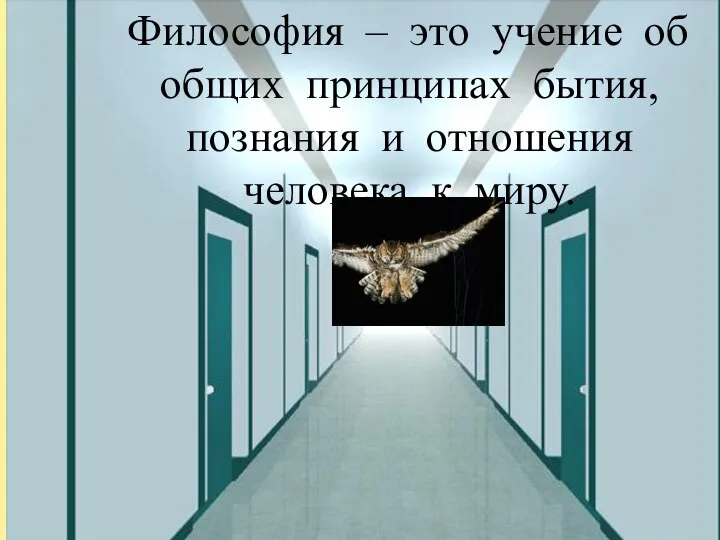 Философия – это учение об общих принципах бытия, познания и отношения человека к миру.