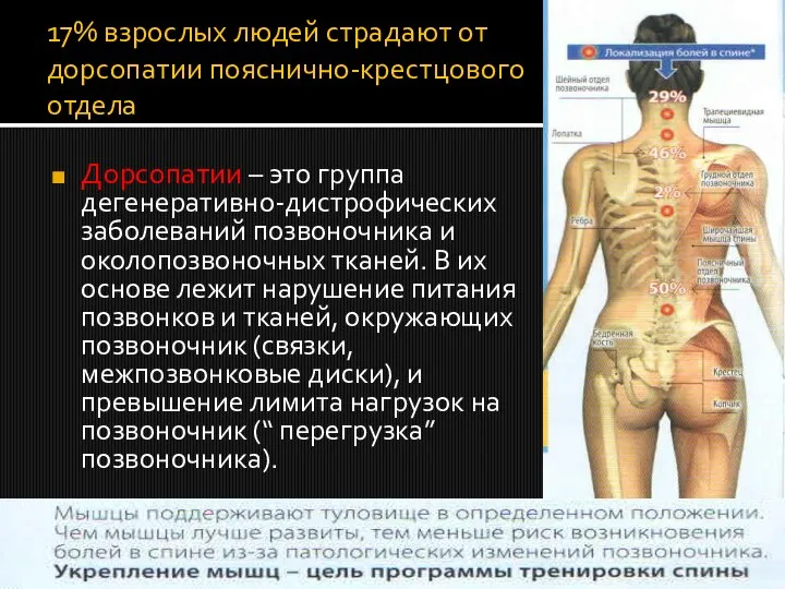 17% взрослых людей страдают от дорсопатии пояснично-крестцового отдела Дорсопатии – это группа