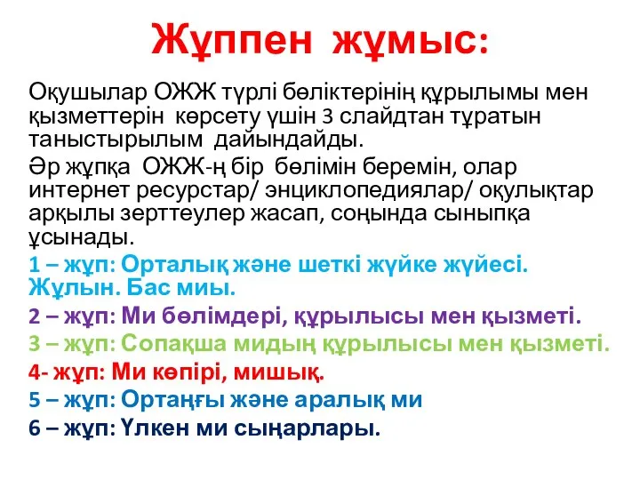 Жұппен жұмыс: Оқушылар ОЖЖ түрлі бөліктерінің құрылымы мен қызметтерін көрсету үшін 3