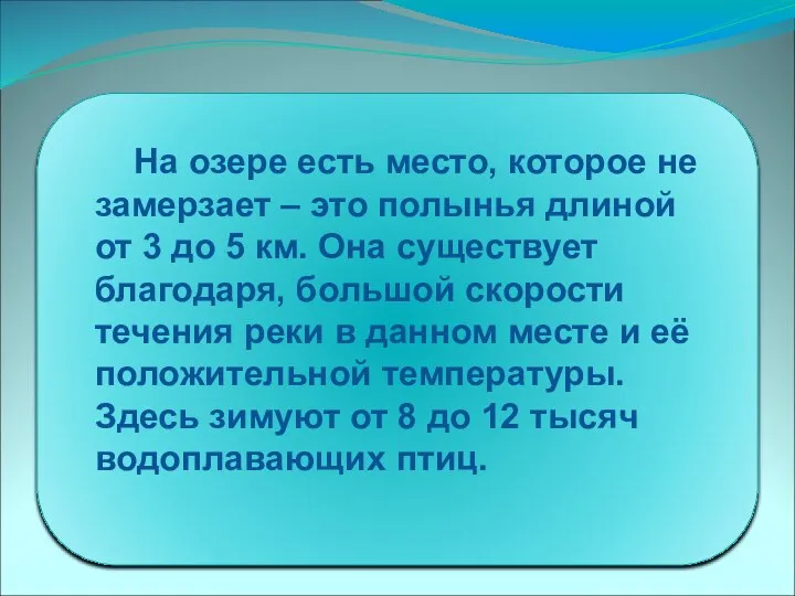 На озере есть место, которое не замерзает – это полынья длиной от