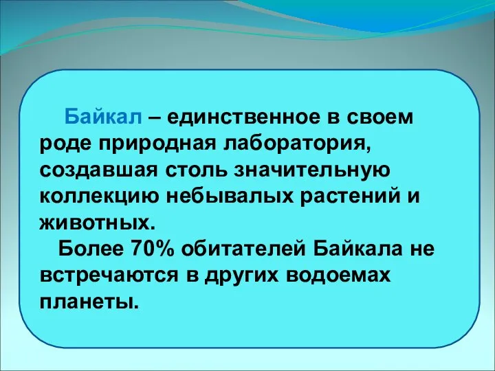 Байкал – единственное в своем роде природная лаборатория, создавшая столь значительную коллекцию