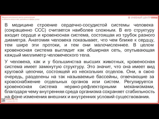 В медицине строение сердечно-сосудистой системы человека (сокращенно ССС) считается наиболее сложным. В