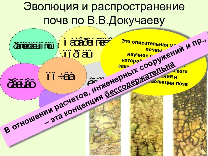 Эволюция и распространение почв по В.В.Докучаеву Это описательная модель почвы, научное содержание