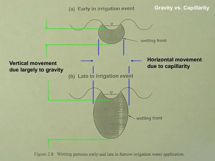 Horizontal movement due to capillarity Vertical movement due largely to gravity Gravity vs. Capillarity