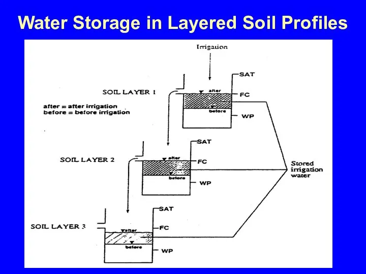 Water Storage in Layered Soil Profiles