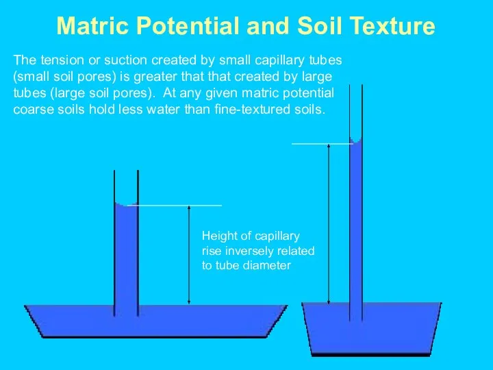 Height of capillary rise inversely related to tube diameter Matric Potential and