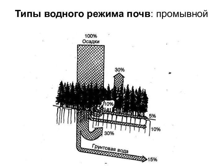 Типы водного режима почв: промывной