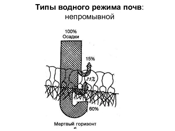 Типы водного режима почв: непромывной