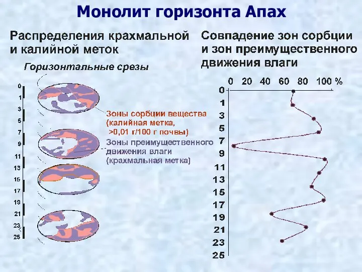 Монолит горизонта Апах