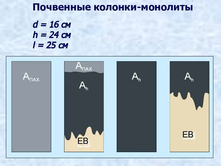 Почвенные колонки-монолиты d = 16 см h = 24 см l = 25 см ЕВ ЕВ