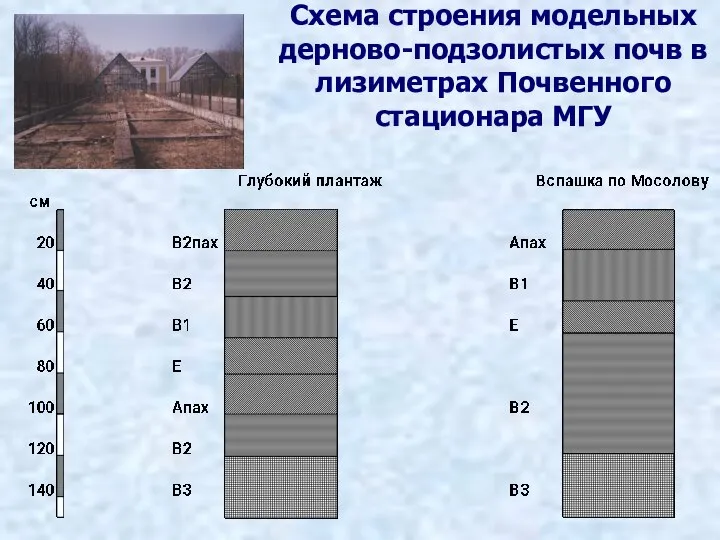 Схема строения модельных дерново-подзолистых почв в лизиметрах Почвенного стационара МГУ