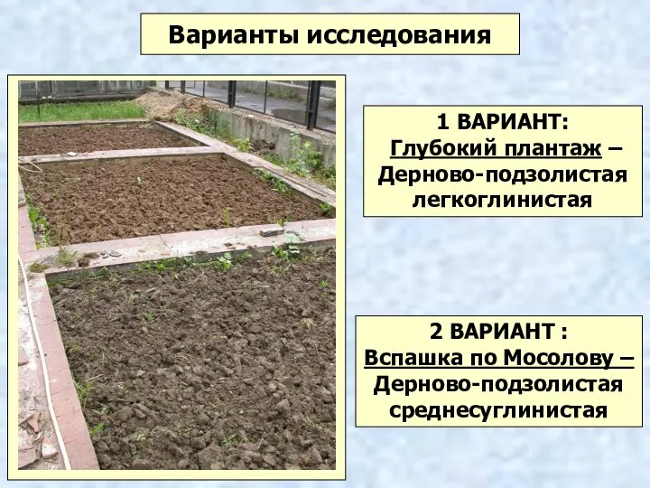 Варианты исследования 1 ВАРИАНТ: Глубокий плантаж – Дерново-подзолистая легкоглинистая 2 ВАРИАНТ :