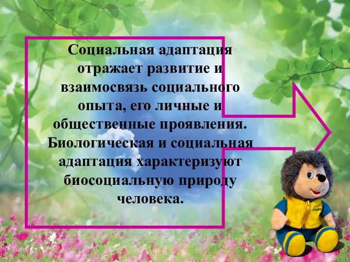 Социальная адаптация отражает развитие и взаимосвязь социального опыта, его личные и общественные