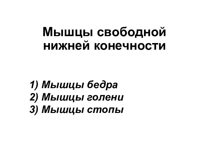 Мышцы свободной нижней конечности 1) Мышцы бедра 2) Мышцы голени 3) Мышцы стопы