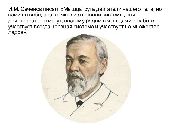 И.М. Сеченов писал: «Мышцы суть двигатели нашего тела, но сами по себе,